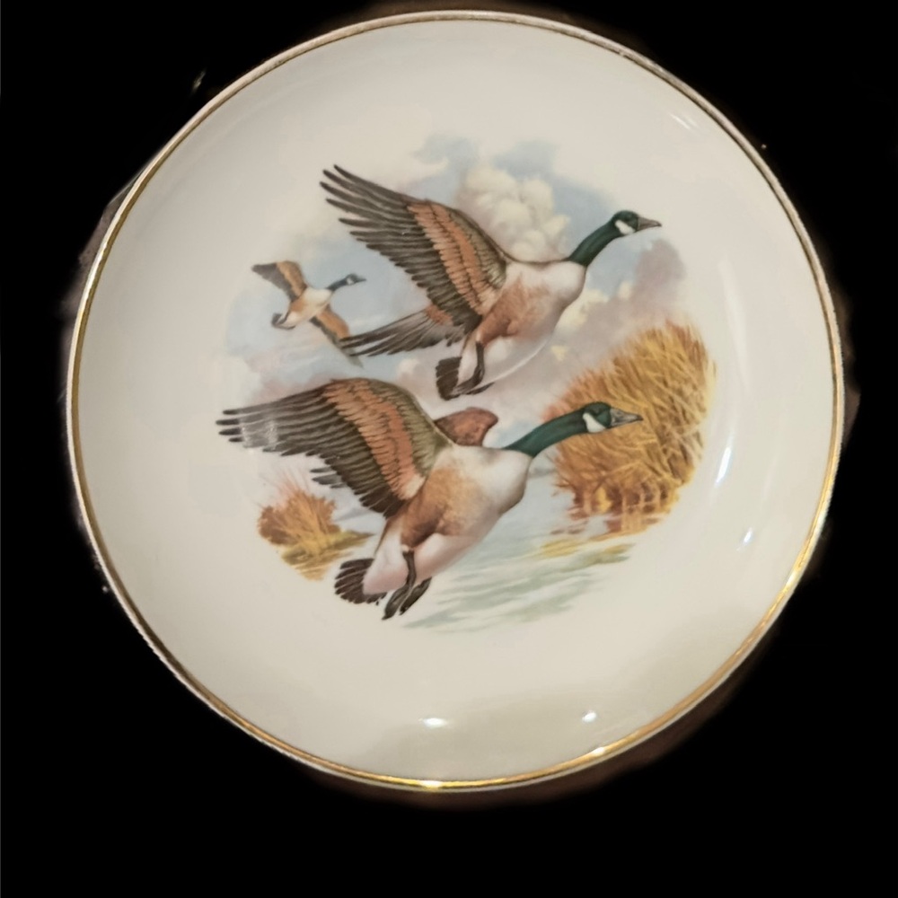 Vintage 10 Porcelain “Game Birds Of The World “ Plates. By Naaman of Israel